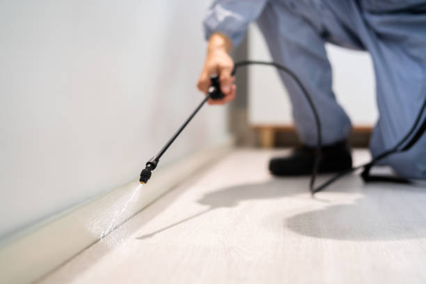 Licensed Termite Control service in Minneapolis, KS - Show Me Pest Control