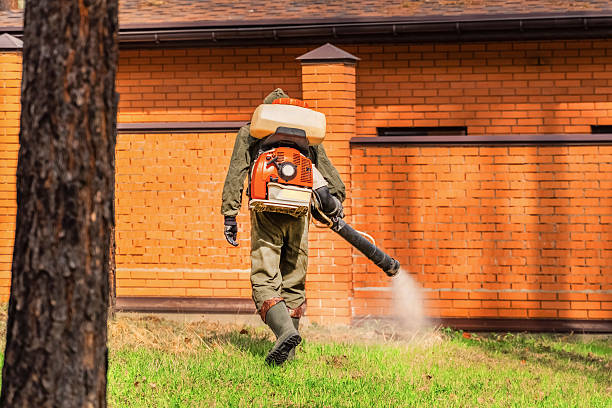 Top rated local Mosquito Control specialists in Minneapolis, KS